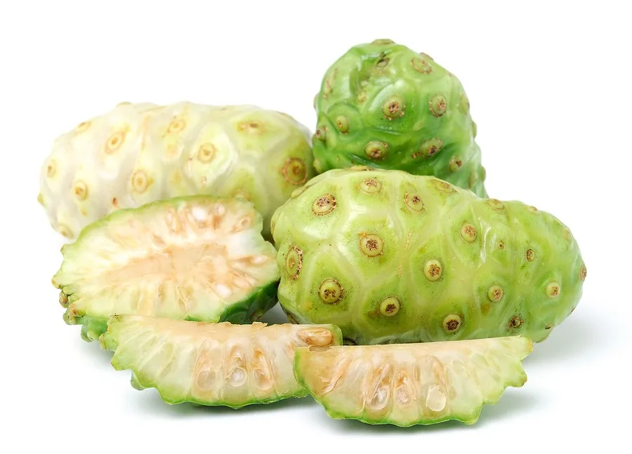 Tropical Fruits Fresh Noni Fruit Noni Extract Buy Tropical Fruits