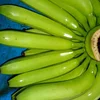 G9 Banana Traders In India