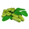 Moringa capsules at cheap price from India in bulk
