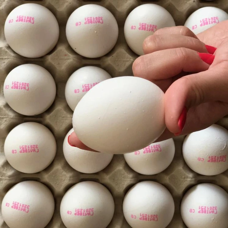 
Ukrainian/ Grade A Fresh Chicken Table Eggs/Brown/White/All sizes 