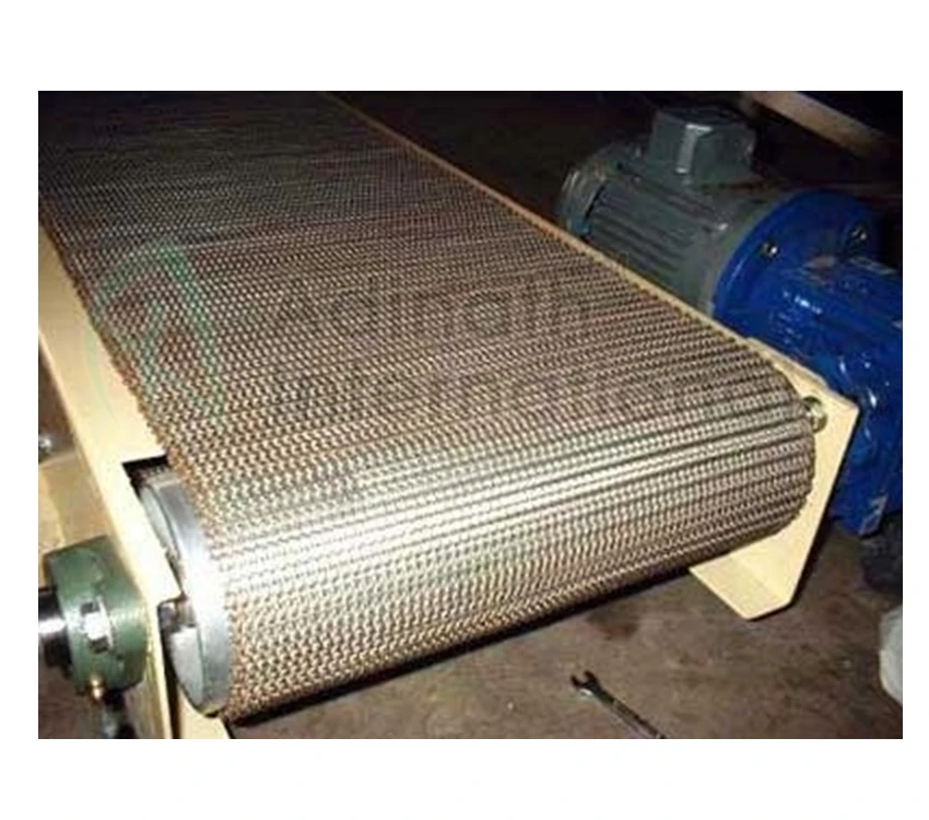 
SS Wire Mesh Conveyor 