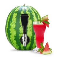 

Party Outdoor Bar Summer Drinks Watermelon Beverage Dispenser Spigot Keg Deluxe Tapping Kit
