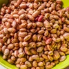 Industrial Farm Quality Controlled Fagioli, borlotti, cannellini, cranberry beans/ Fava Beans Wholesales