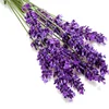 lavender Essential oil bulk price