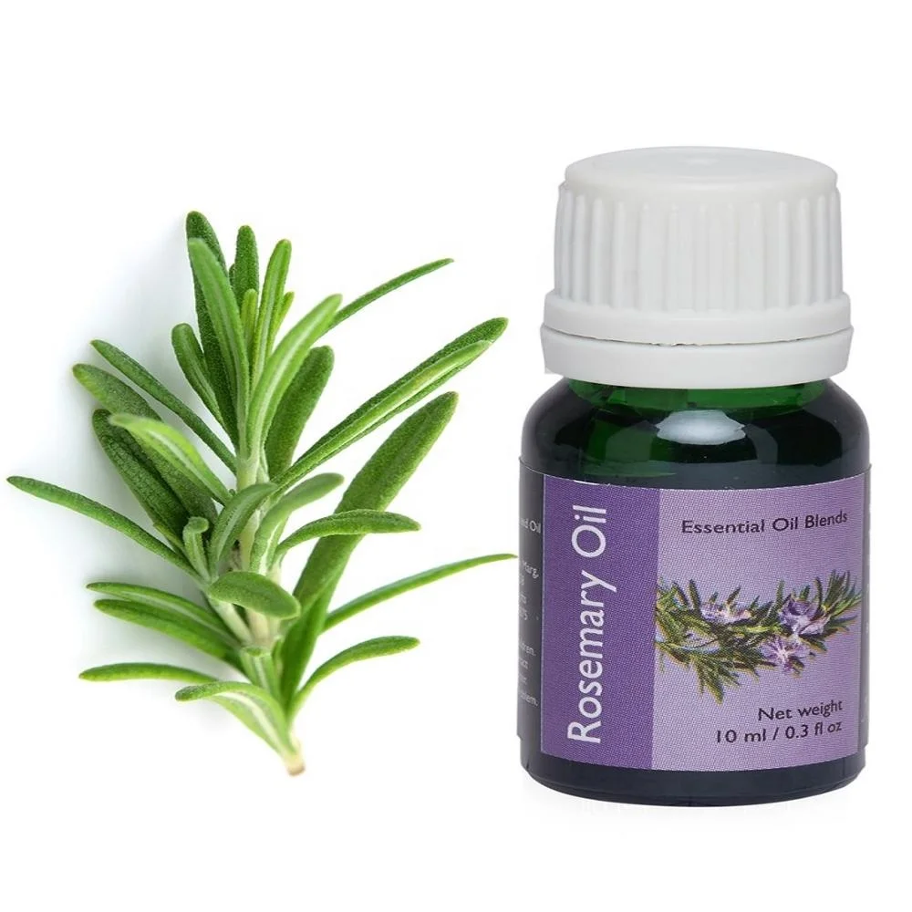 rosemary organic essential oil / best rosemary oil uses