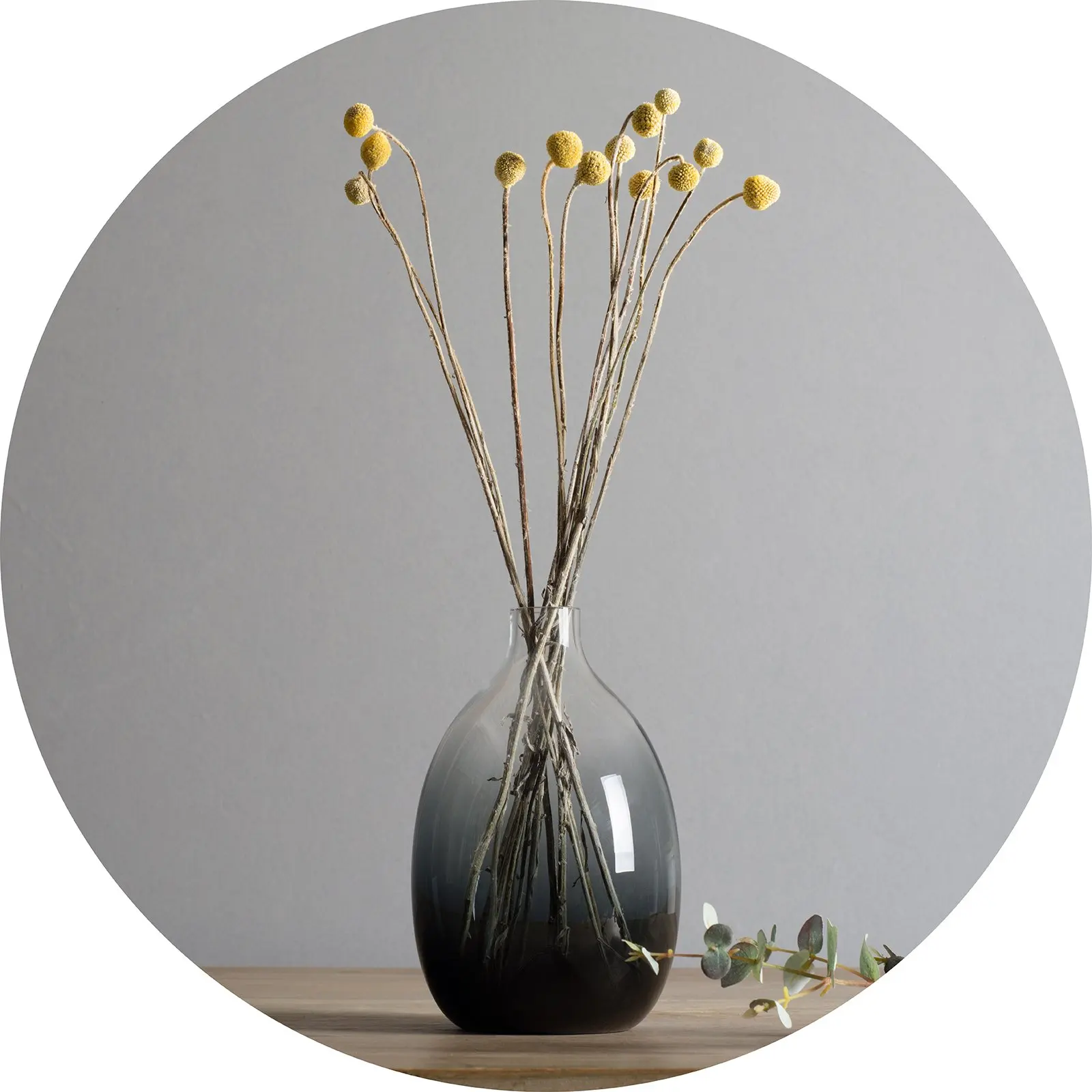 Cheap Large Contemporary Vases Find Large Contemporary Vases