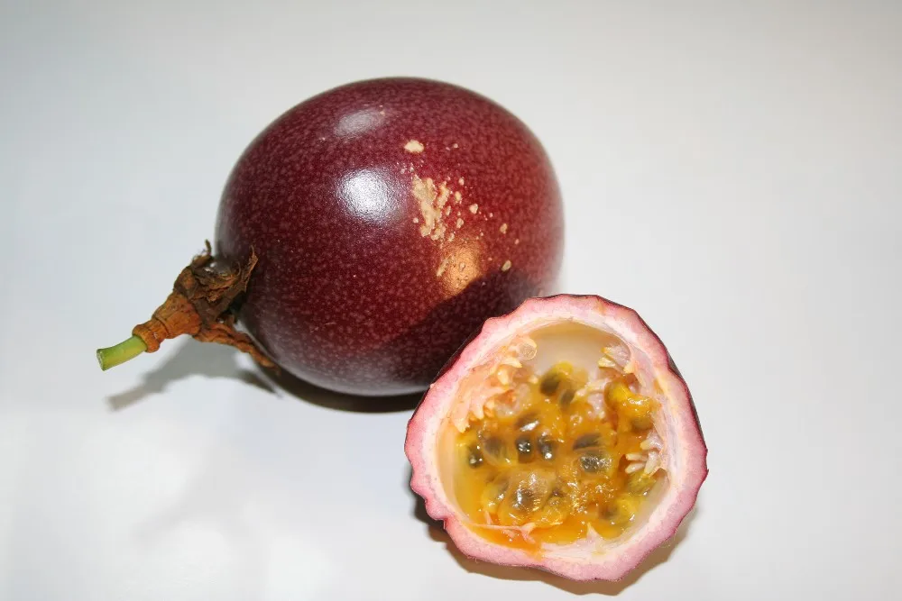 forbidden passion fruit