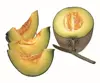 Korean Fresh Melon