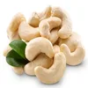 Cashew Nuts/ Cashew Kernels WW240/ WW320/ WW450/ Ws/ Lp/ Sp