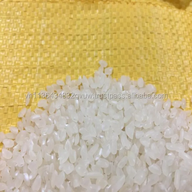 JAPONICA 2% BROKEN 546.jpg