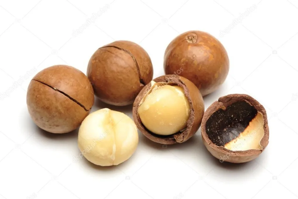 Vietnam Macadamia Nuts,Roasted Macadamia Nuts( Phoebe