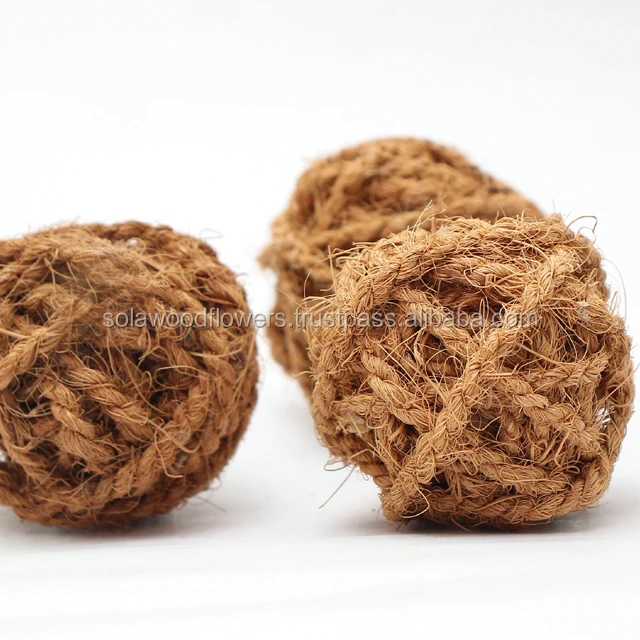 Coco Rope Ball 2.JPG