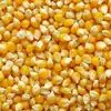 /product-detail/dry-yellow-corn-for-animal-feed-50003335627.html