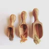 /product-detail/eco-friendly-natural-olive-wood-handmade-spice-spoon-50019067279.html