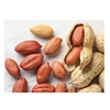 Peanut and Groundnut Without Shell Peanut