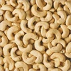 Add to Compare Contact Supplier Leave Messages Buy Cashew Nuts & Kernels ww240, ww320, ww450,