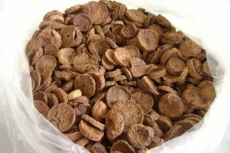 dried betel nut