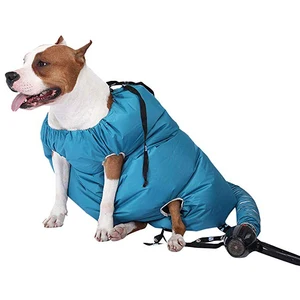 Image of Dog Dryer Pet Grooming Hair Blower Cat Force Heater Quick Dry After Bath Puff Dog Dryer