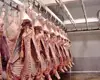 Frozen Beef Carcass , Beef Cuts, Fresh frozen quality red beef cow meat/sheep fresh meat