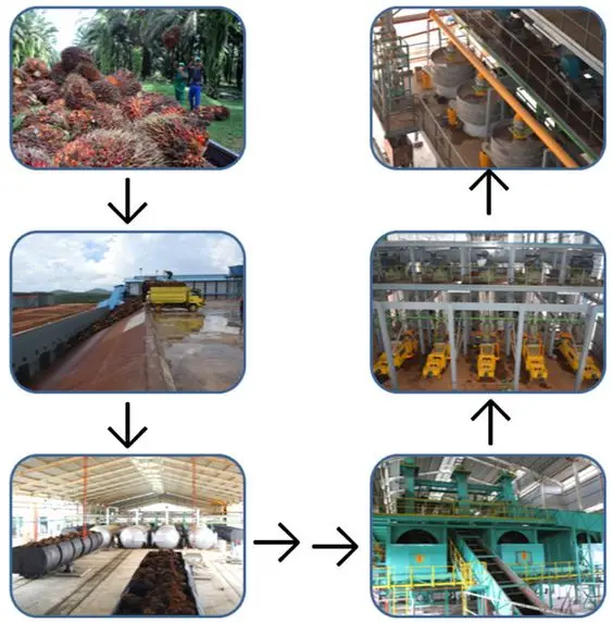 Palm Oil Processing Plant - Efficient CPO Extracting Machine