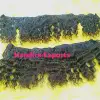/product-detail/bundles-cuticle-aligned-raw-indian-virgin-hair-mandira-exports-hair-factory-india-62002902039.html