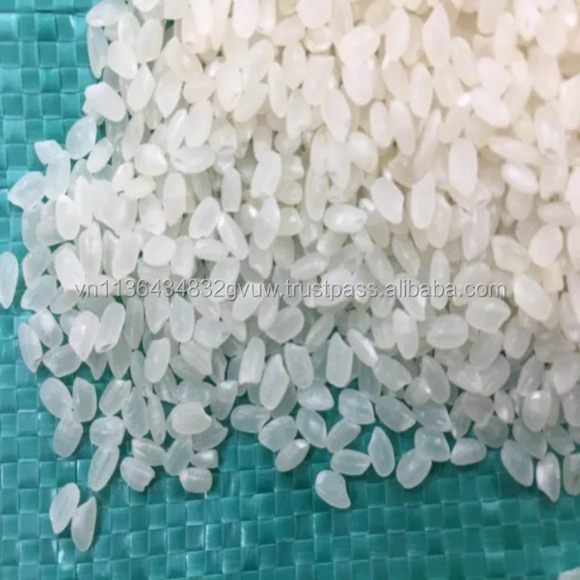 JAPONICA 2% BROKEN 24.jpg