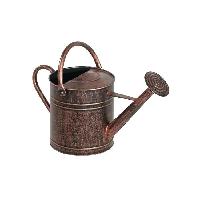 Classic Gold Watering Can For Plants Buy Iron Watering Cans
