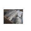 FROZEN WHOLE ROUND ATLANTIC SALMON, HEAD ON, GUTTED BEST PRICE
