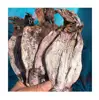 Dried Black Squid at Cheap Price from Vietnam