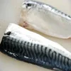 New Arrival Fresh High Quality Headed&Gutted Frozen Mackerel Fish Fillet