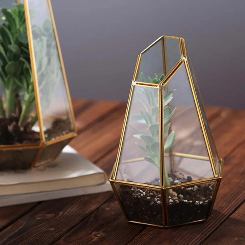 Geometric Design Globe Terrarium Rose Gold Buy Glass Plant Terrarium