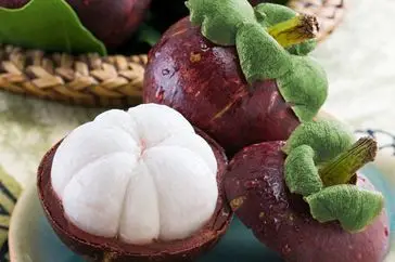 
VIETNAM FRESH MANGOSTEEN WHOLESALE 