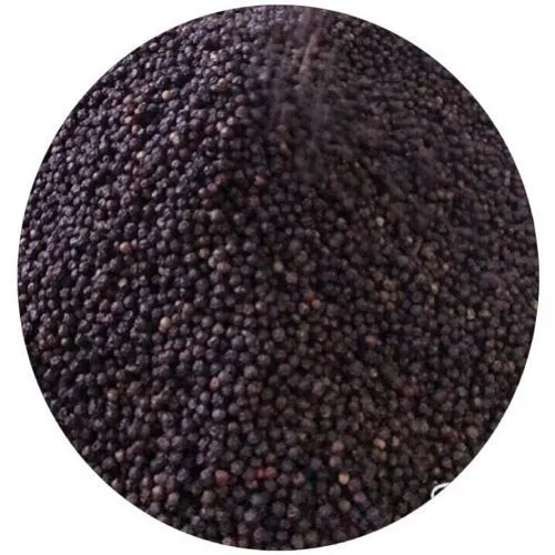 越南香料和草药黑胡椒 500 克/升超级便宜的价格