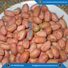 Peanut /Indian Peanut New Crop