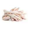/product-detail/frozen-chicken-feet-wholesale-prices-50045783933.html