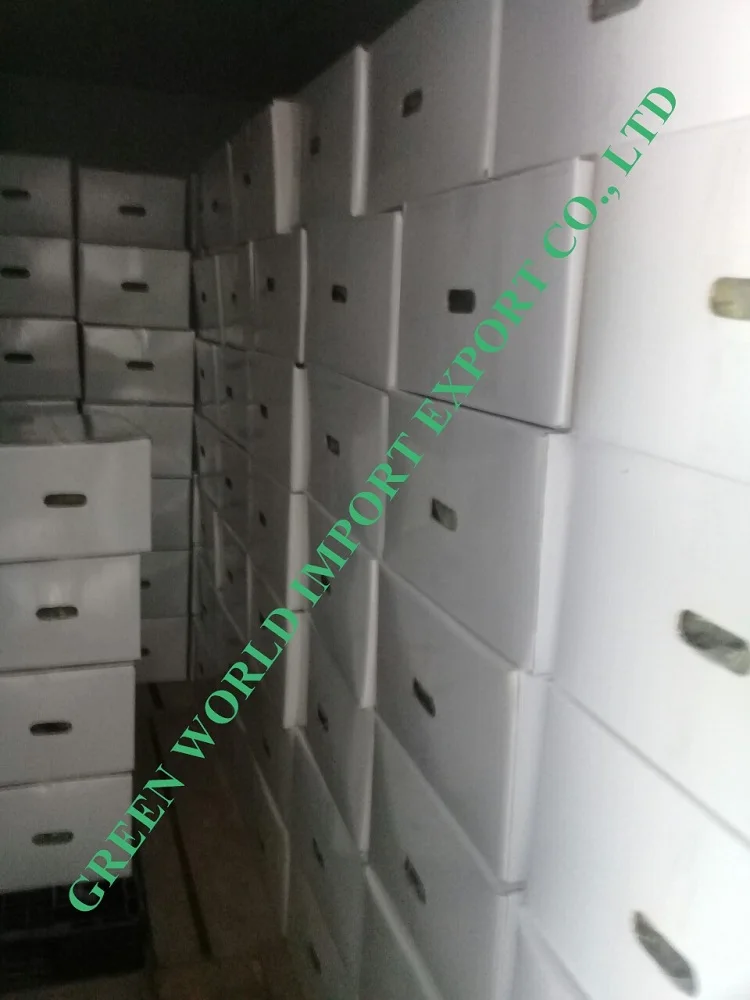 
NATURAL FROZEN AVOCADO - CHEAPEST PRICE 