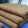 Coir logs for soil erosion control