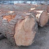 PINE SPRUCE BIRCH OAK ASH LOGS / TIMBER AVAILABLE