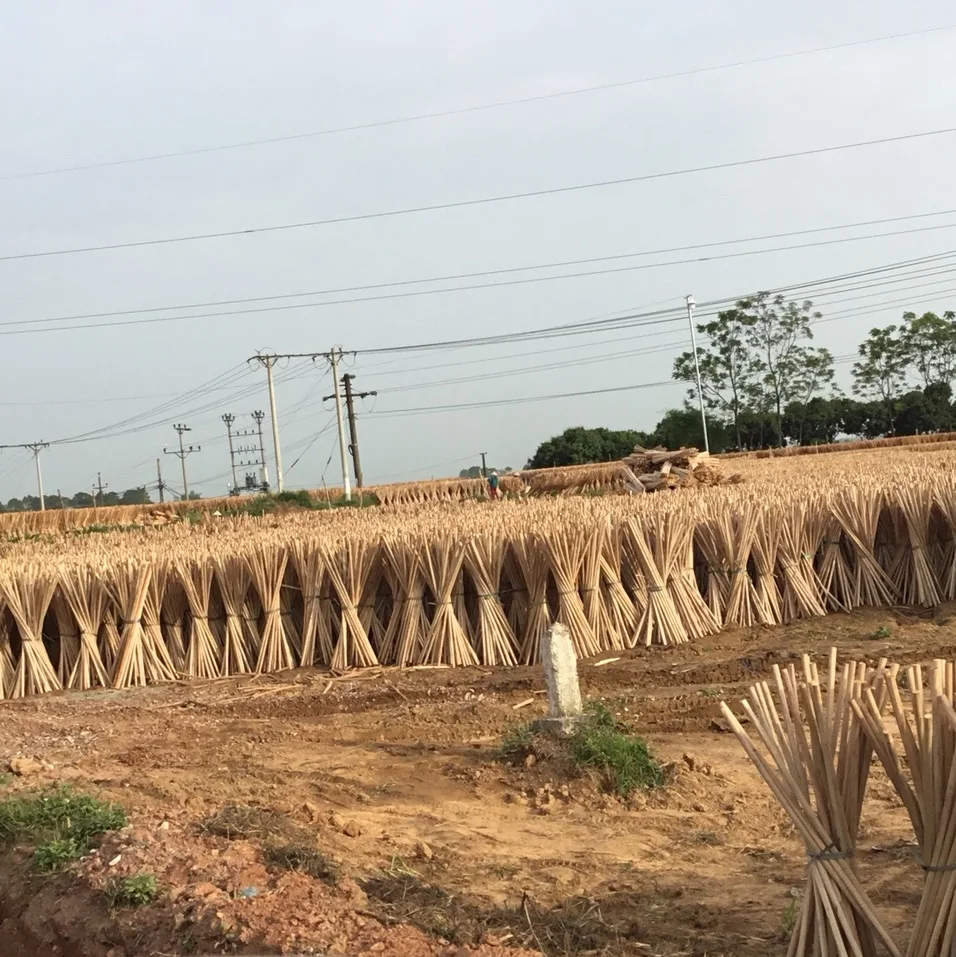 
ACACIA TIMBER, SAWN TIMBER, WHITE TIMBER 