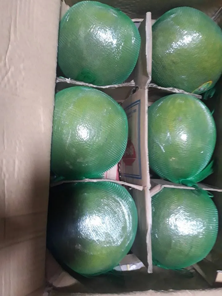 Vietnam Grapefruit Pomelo / Sweet Taste New Season 2020 Buy Vietnam