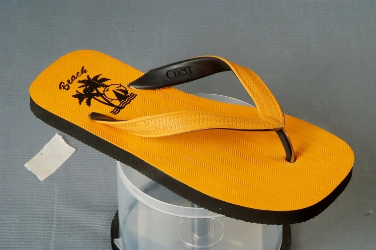 dsi beach rubber slippers price