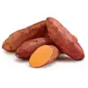 Fresh Sweet Potato