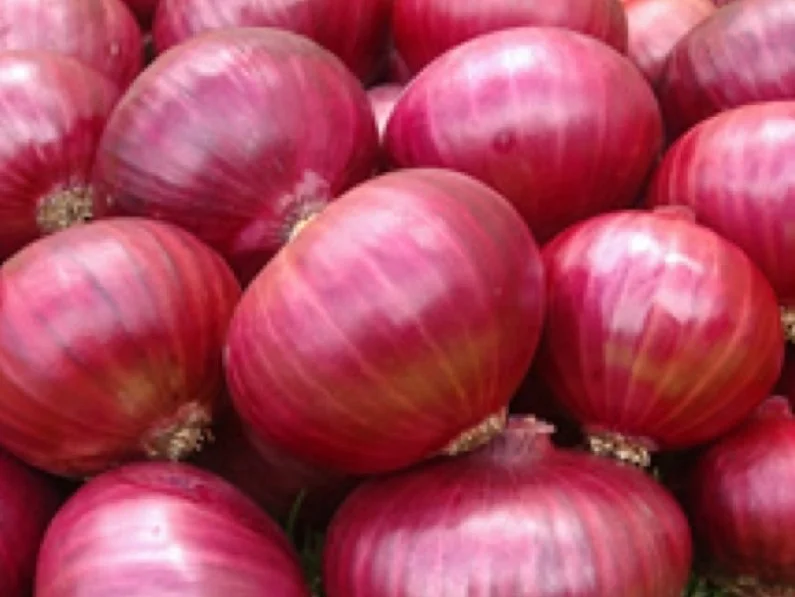 Fresh Red Onion / Yellow Onion,First High Quality,Very Competitive