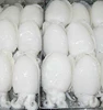 WHOLESALE SUPPLY CLEANED FROZEN BABY CUTTLEFISH FACTORY PRICE