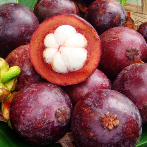 
WHOLE SALE mangosteen 