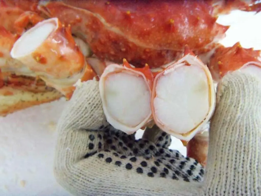 
frozen cooked king crab chile 