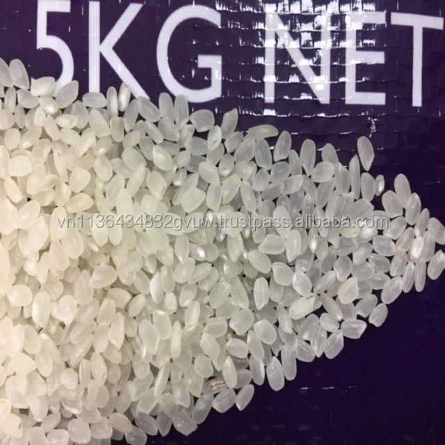 JAPONICA 2% BROKEN 66.jpg