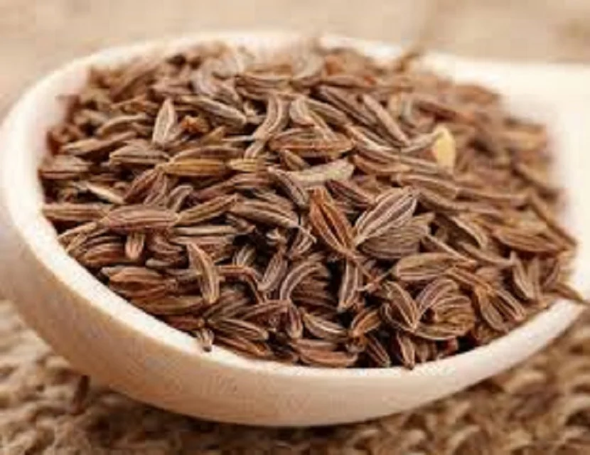 cumin-seeds-99-cumin-seeds-black-cumin-seeds-buy-cumin-seeds-and