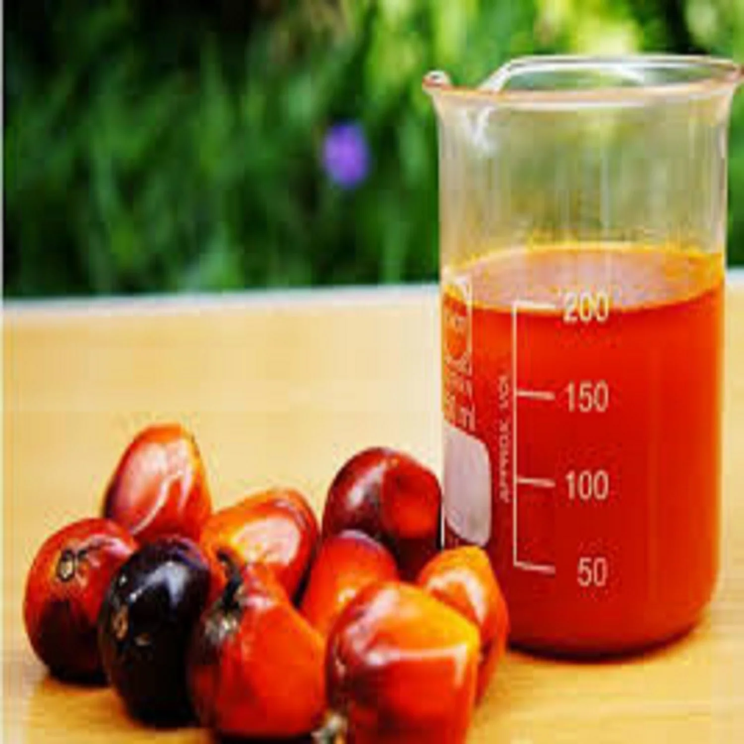 Red Palm Oil Refined Palm Oil Palm Kernel Oil For Sale Buy Rbd