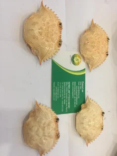 
Dried crab shell for sales, material for animal feed with high quality from Vietnam 